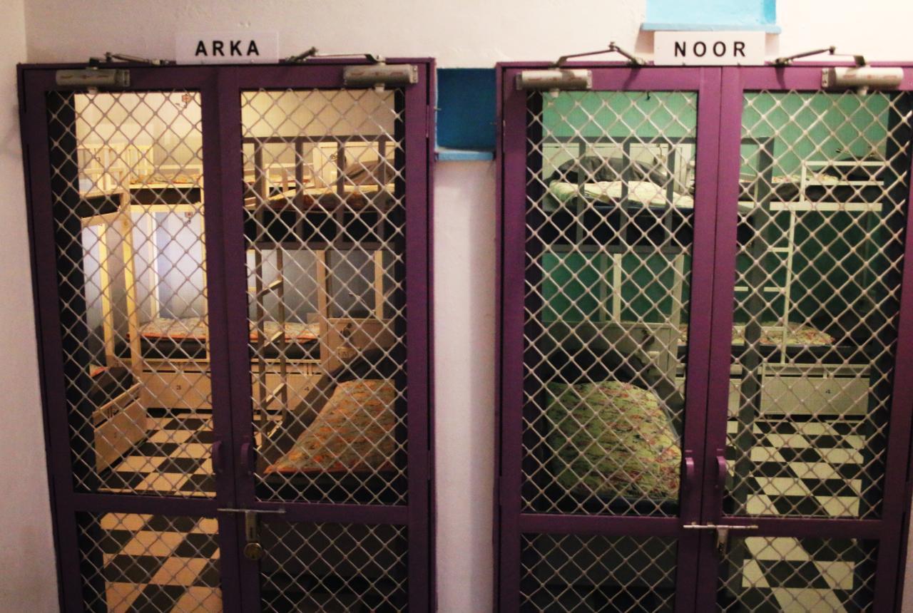 Gypsy Child Lake Hostel Udaipur Exterior foto